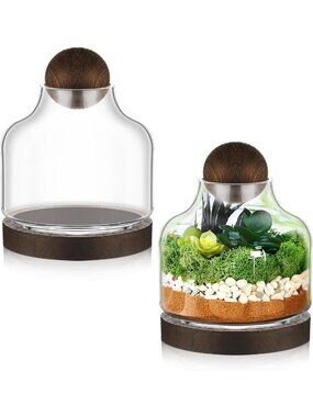 Set of 2 Glass Terrarium Jars with Wooden Base & Decorative Lid - 7 Inch Mini